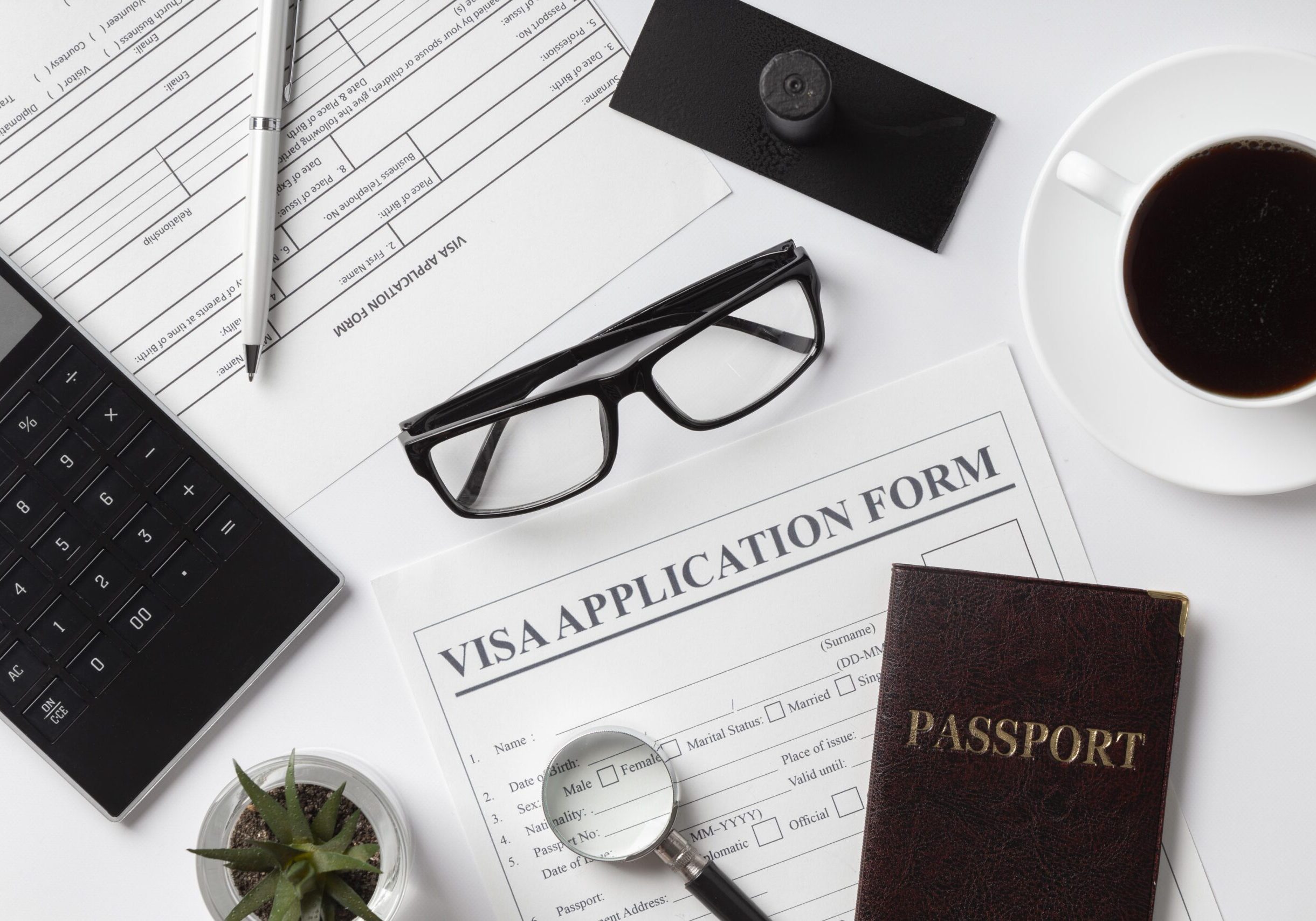 flat-lay-visa-application-assortment